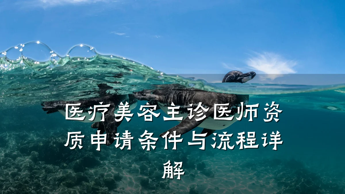医疗美容主诊医师资质申请条件与流程详解