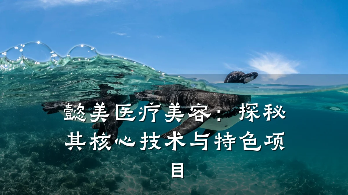 懿美医疗美容：探秘其核心技术与特色项目