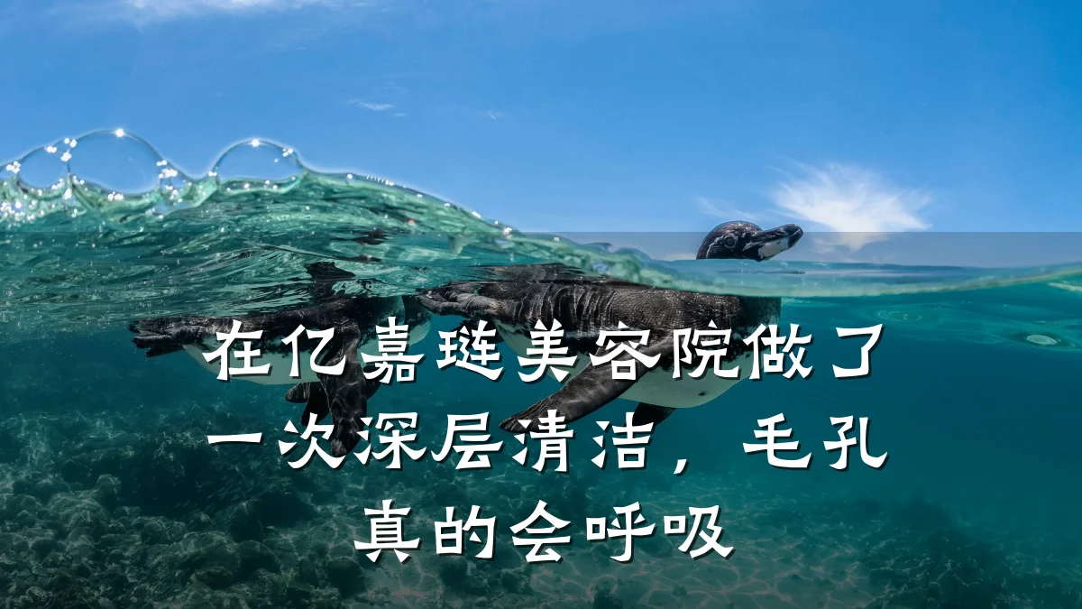 在亿嘉琏美容院做了一次深层清洁，毛孔真的会呼吸
