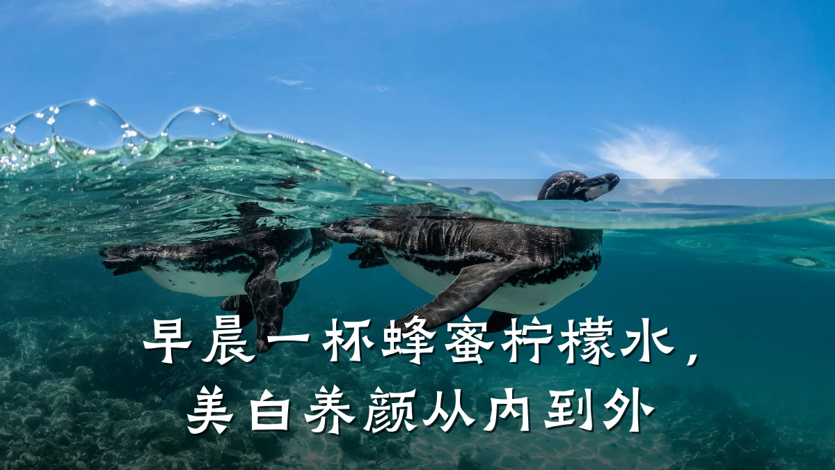 早晨一杯蜂蜜柠檬水，美白养颜从内到外