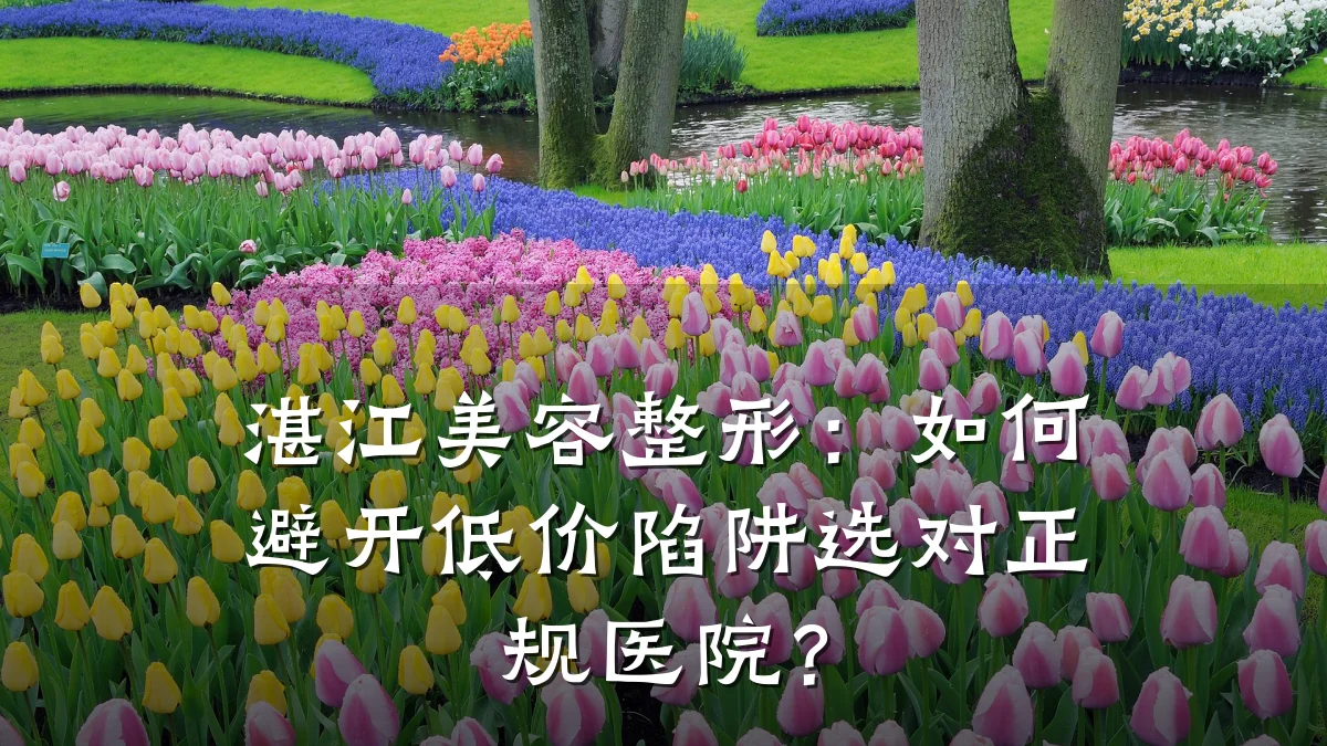 湛江美容整形：如何避开低价陷阱选对正规医院？