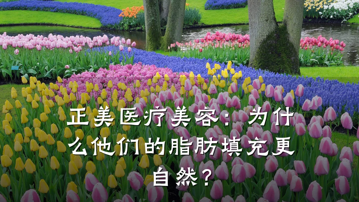 正美医疗美容：为什么他们的脂肪填充更自然？