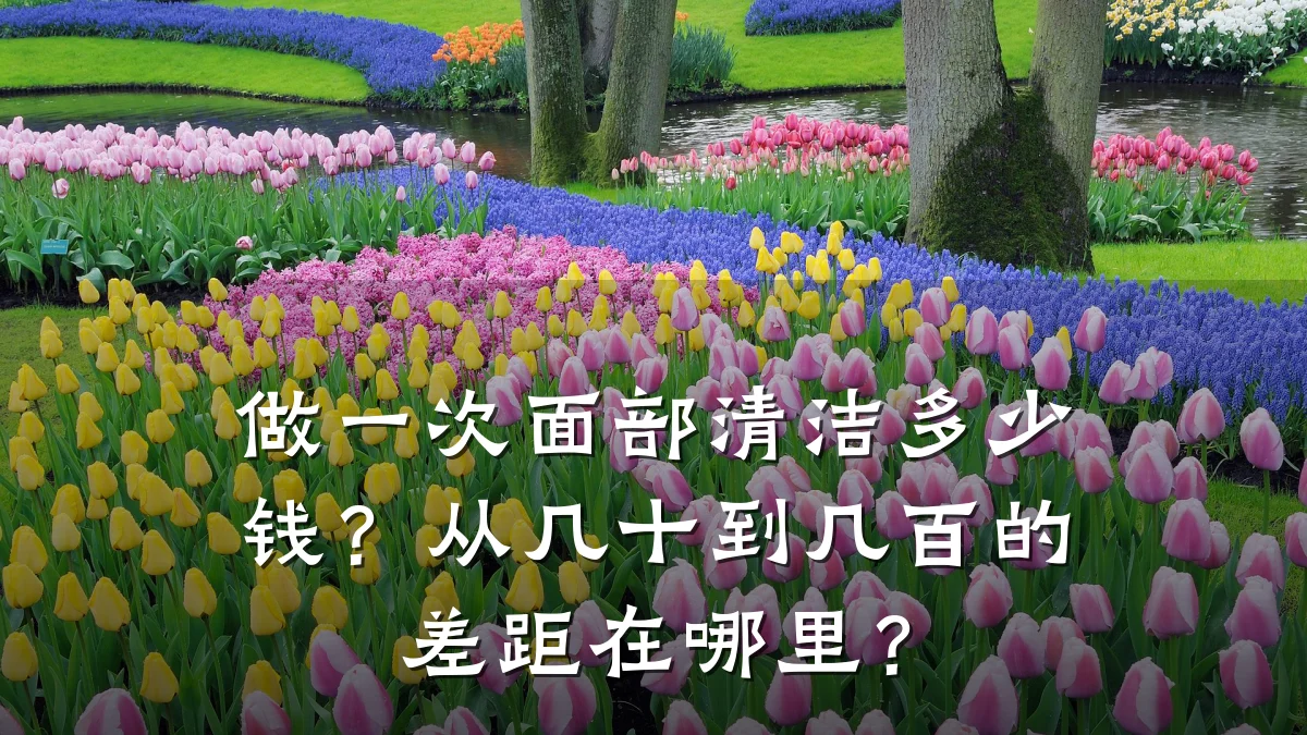 做一次面部清洁多少钱？从几十到几百的差距在哪里？