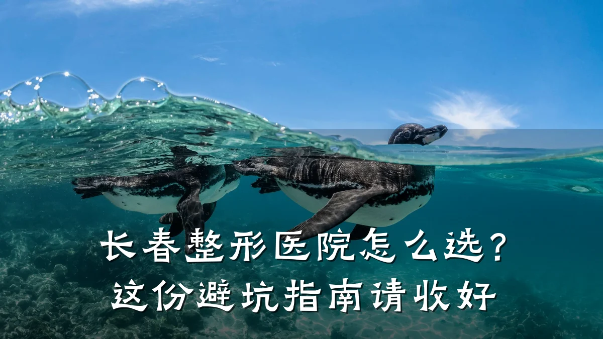 长春整形医院怎么选？这份避坑指南请收好