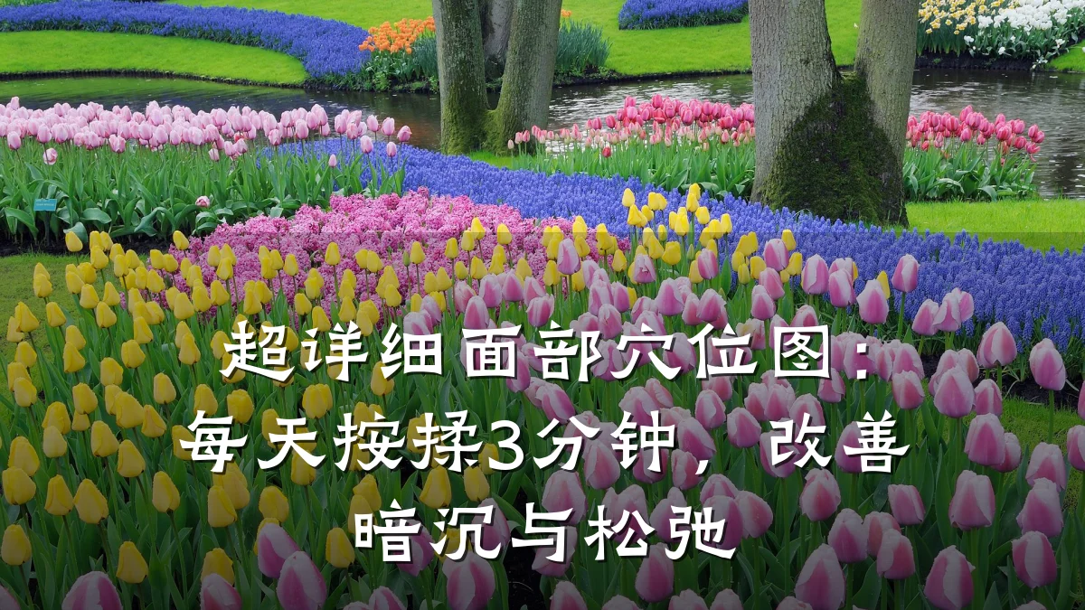 超详细面部穴位图：每天按揉3分钟，改善暗沉与松弛