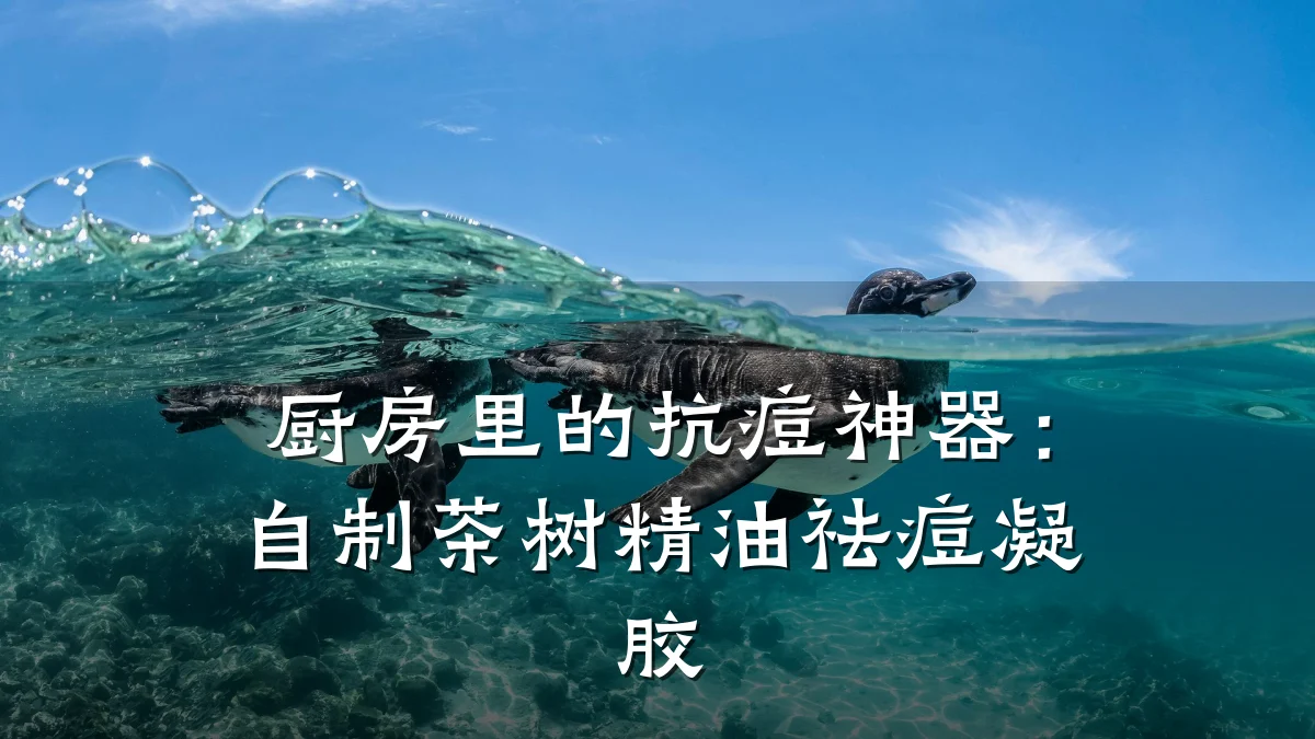 厨房里的抗痘神器：自制茶树精油祛痘凝胶