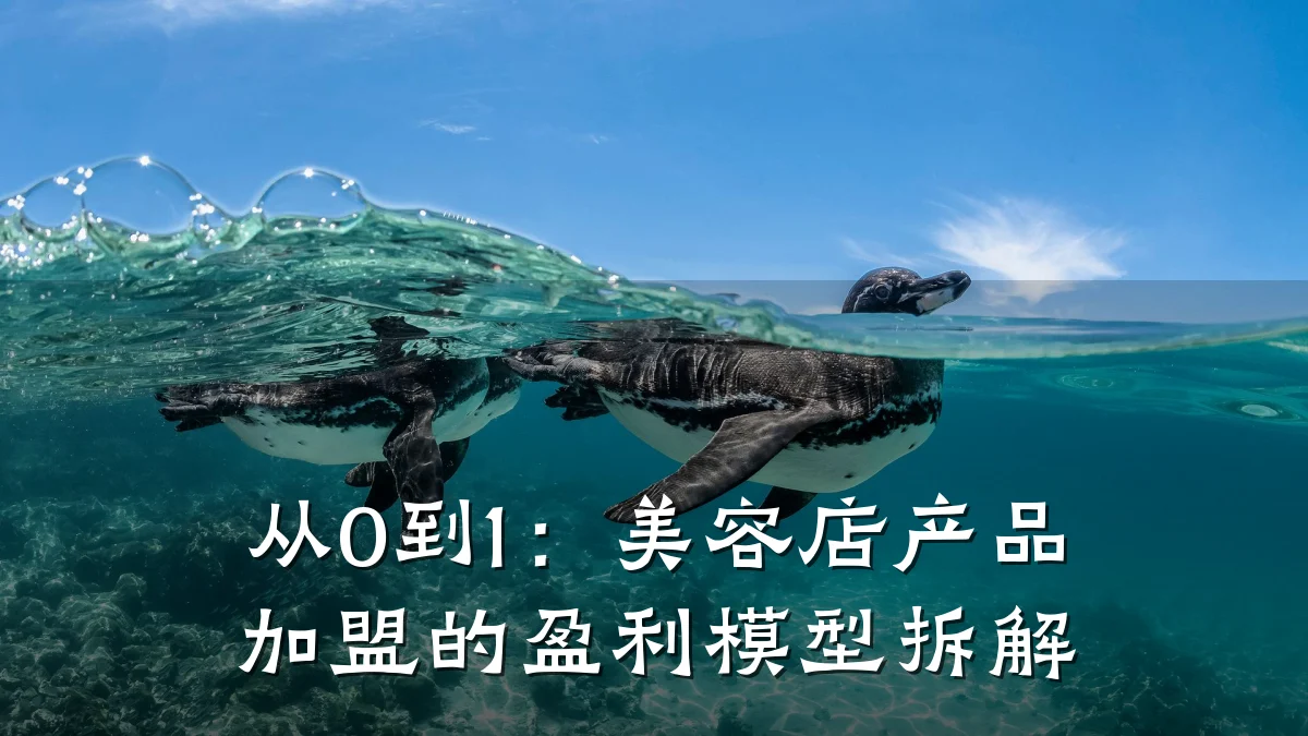 从0到1：美容店产品加盟的盈利模型拆解