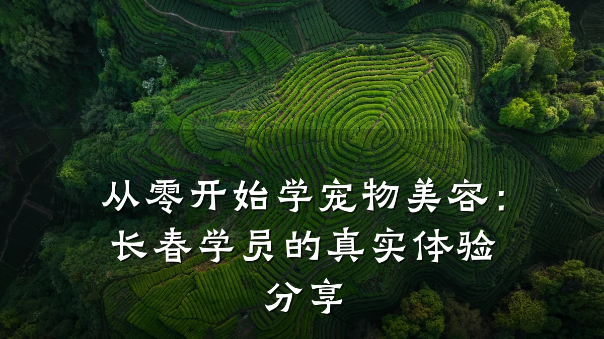从零开始学宠物美容：长春学员的真实体验分享