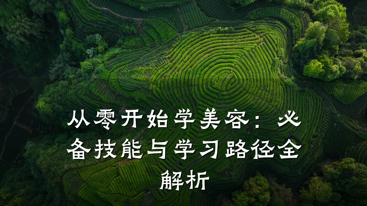 从零开始学美容：必备技能与学习路径全解析