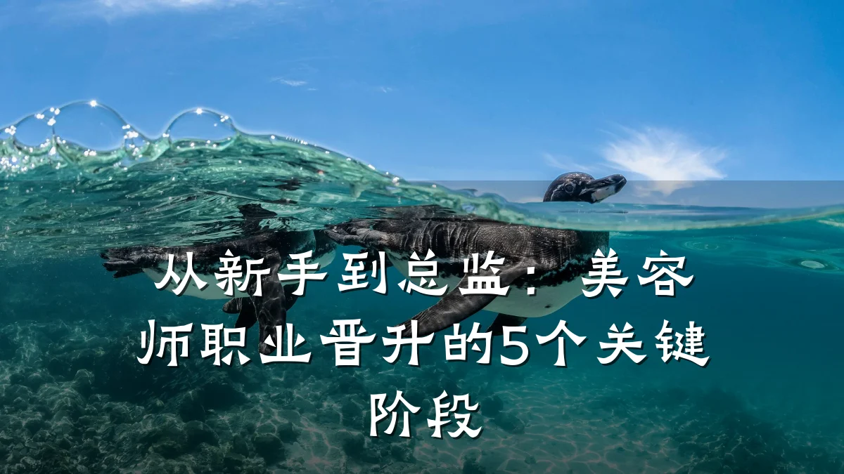 从新手到总监：美容师职业晋升的5个关键阶段