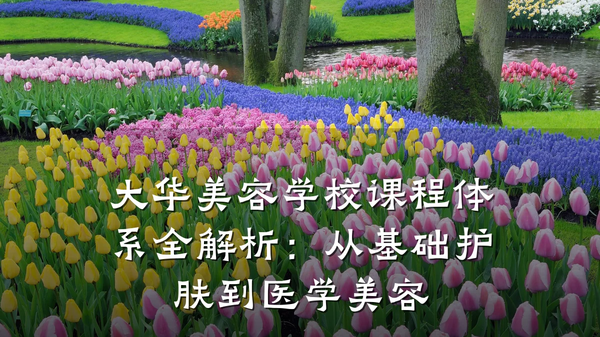 大华美容学校课程体系全解析：从基础护肤到医学美容