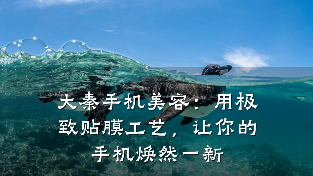 大秦手机美容：用极致贴膜工艺，让你的手机焕然一新