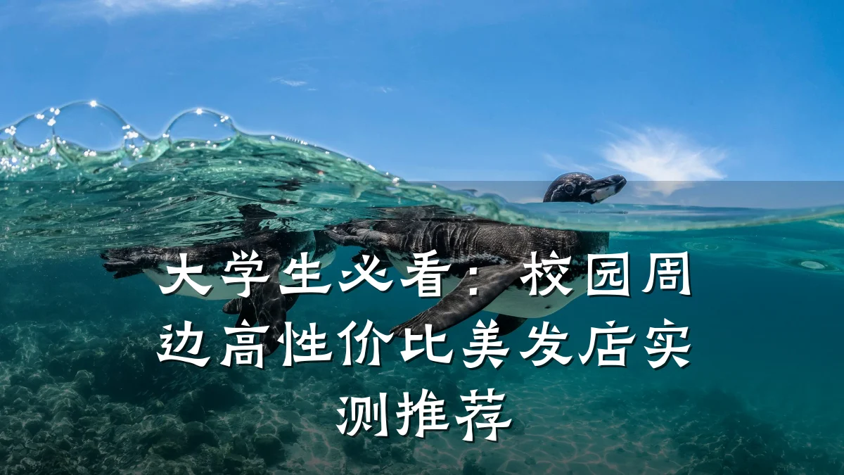 大学生必看：校园周边高性价比美发店实测推荐