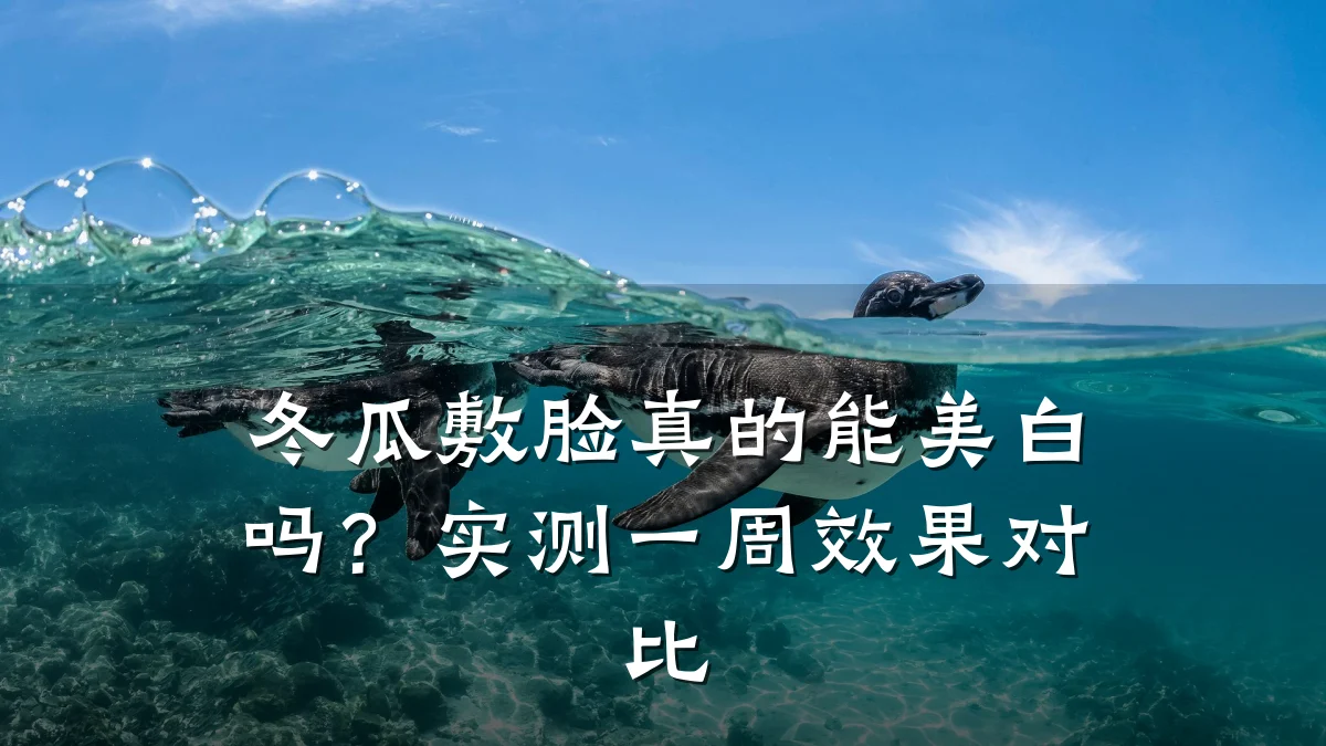 冬瓜敷脸真的能美白吗？实测一周效果对比
