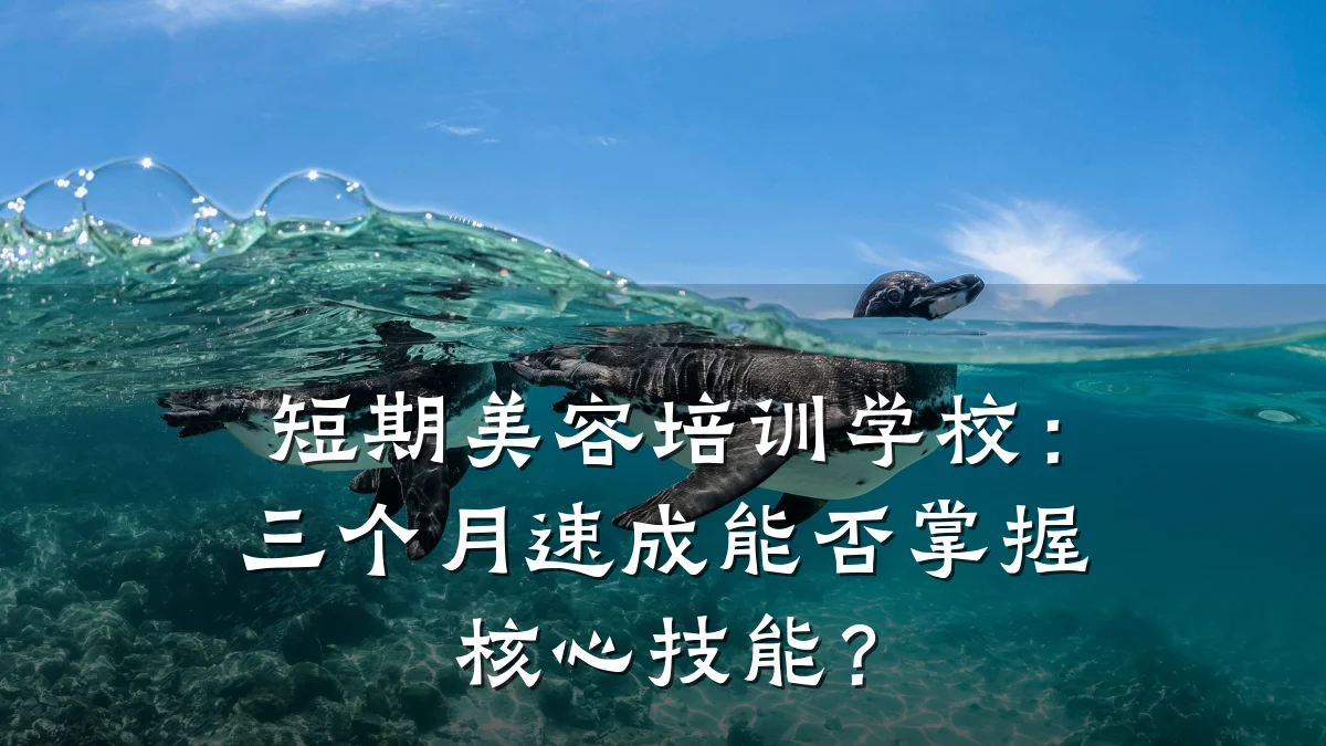 短期美容培训学校：三个月速成能否掌握核心技能？