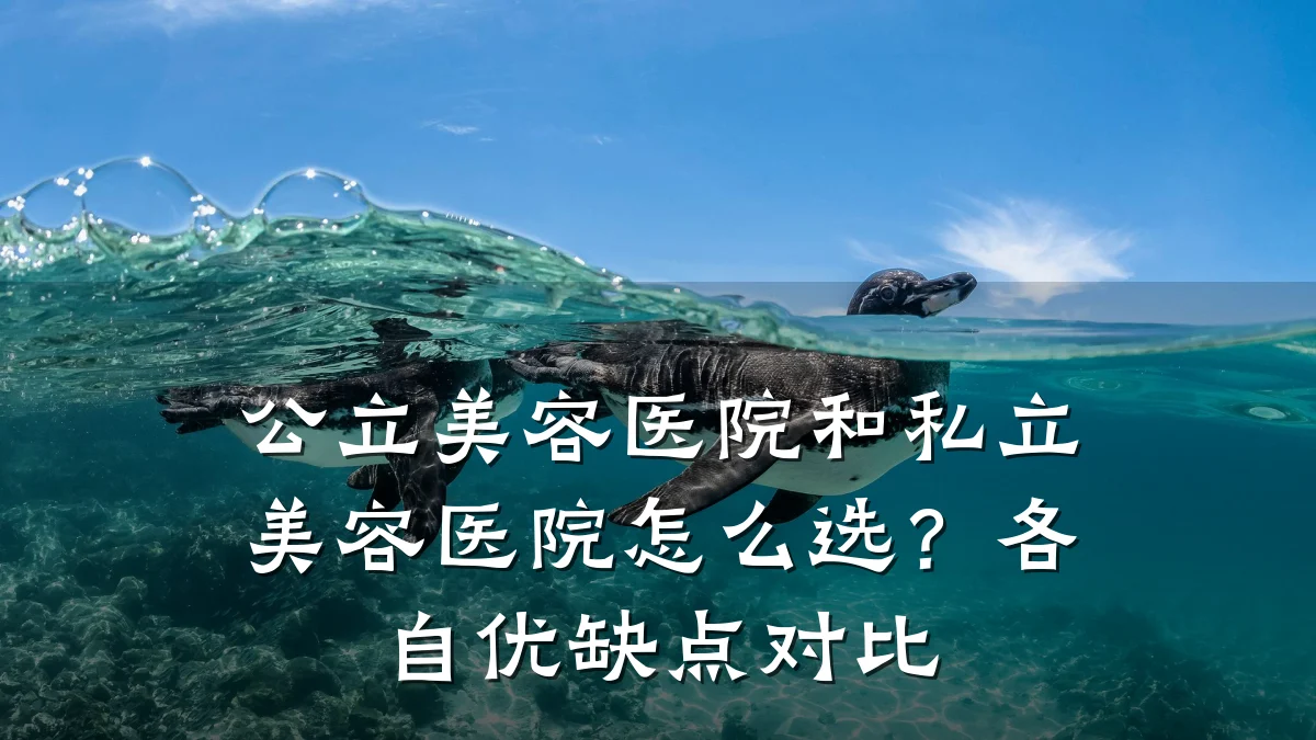 公立美容医院和私立美容医院怎么选？各自优缺点对比