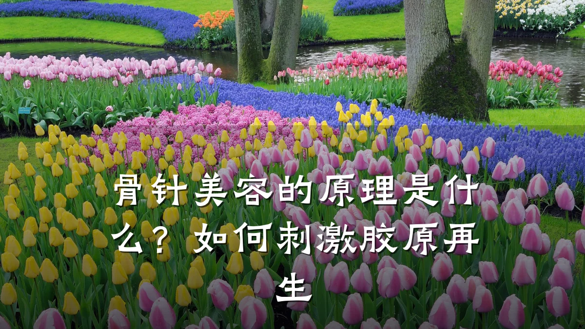 骨针美容的原理是什么？如何刺激胶原再生