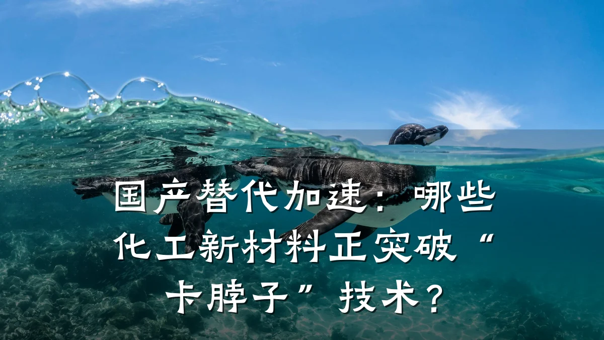 国产替代加速:哪些化工新材料正突破“卡脖子”技术?
