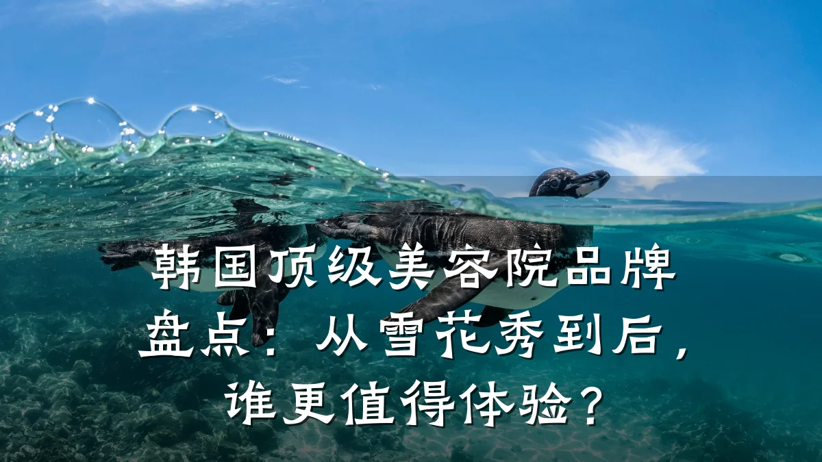 韩国顶级美容院品牌盘点：从雪花秀到后，谁更值得体验？