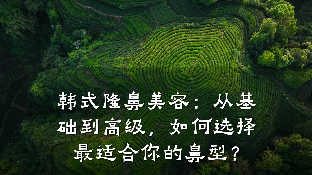 韩式隆鼻美容：从基础到高级，如何选择最适合你的鼻型？