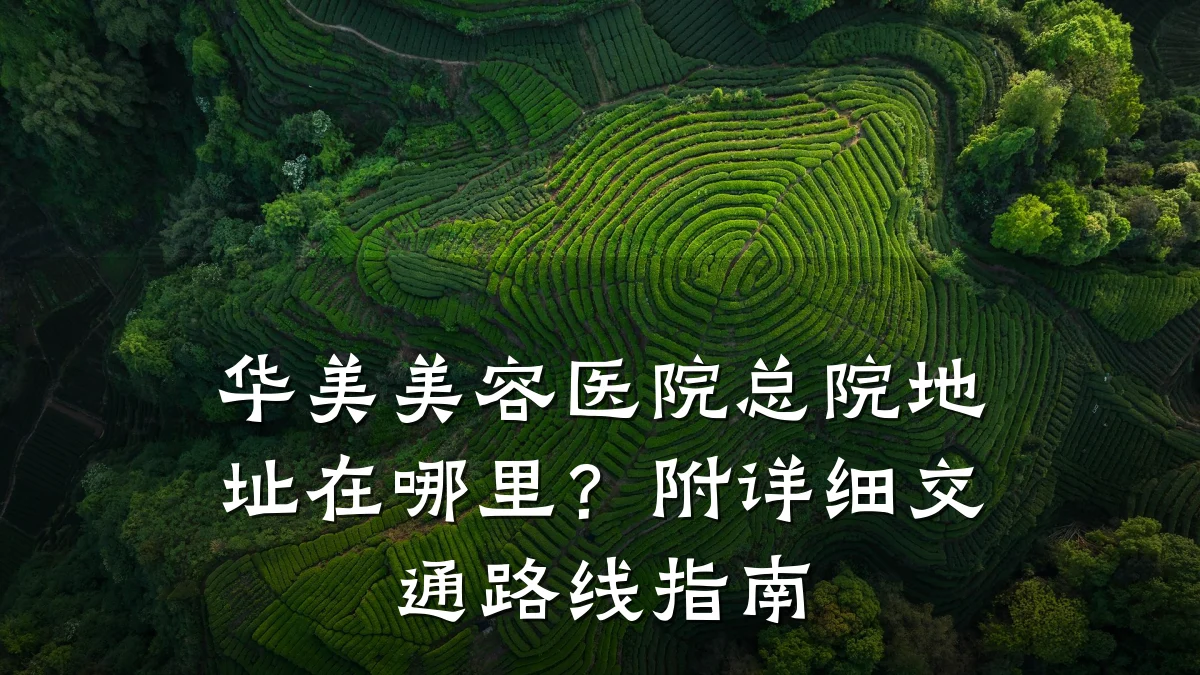 华美美容医院总院地址在哪里？附详细交通路线指南