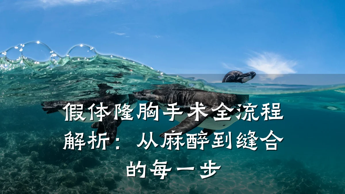 假体隆胸手术全流程解析：从麻醉到缝合的每一步