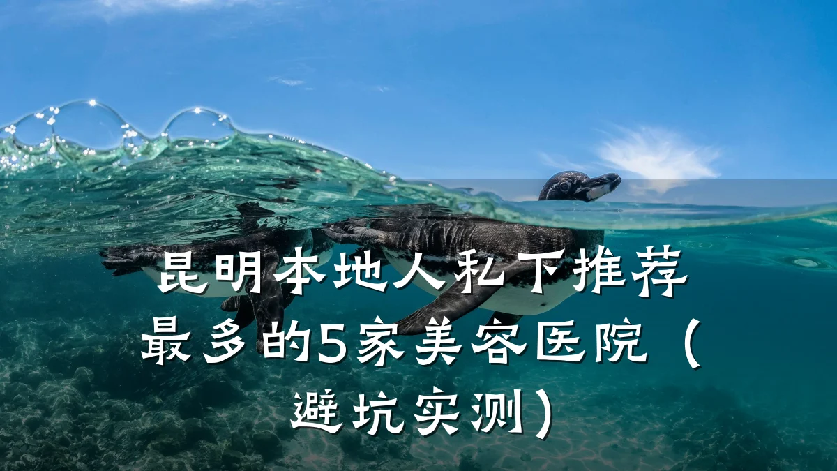 昆明本地人私下推荐最多的5家美容医院（避坑实测）