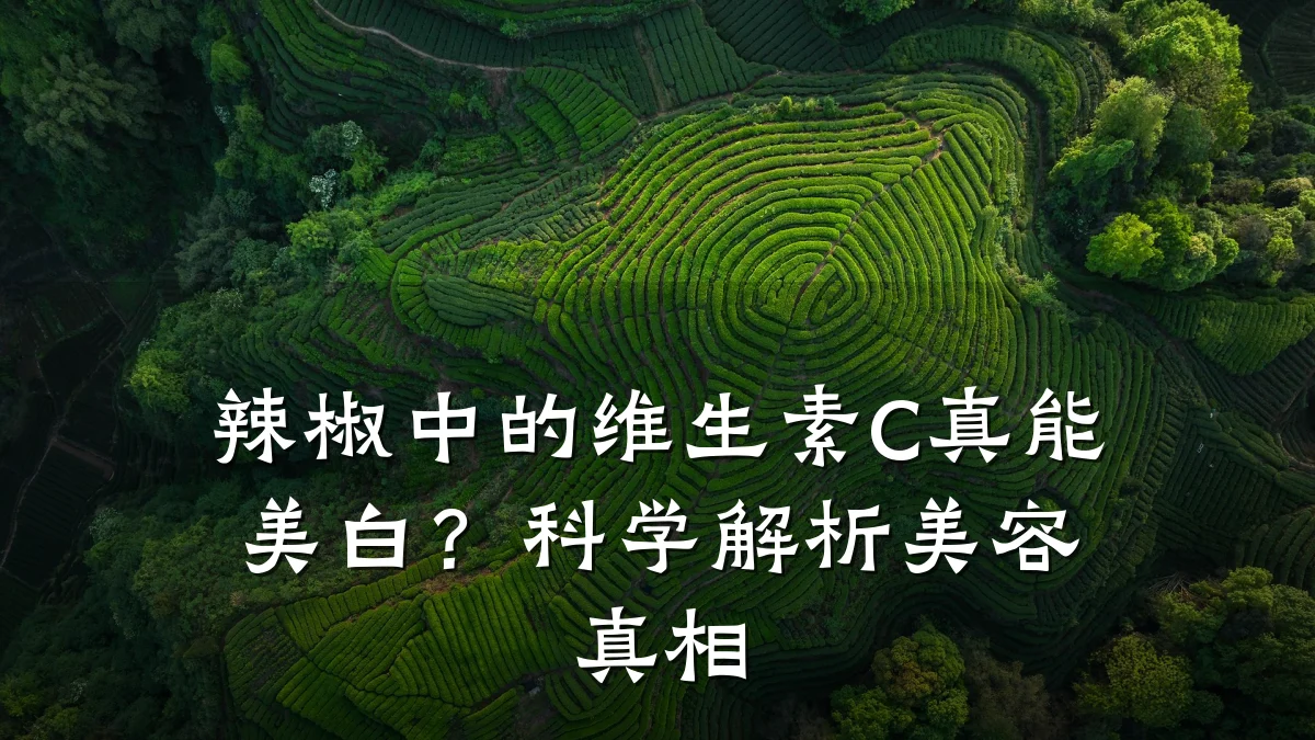 辣椒中的维生素C真能美白？科学解析美容真相
