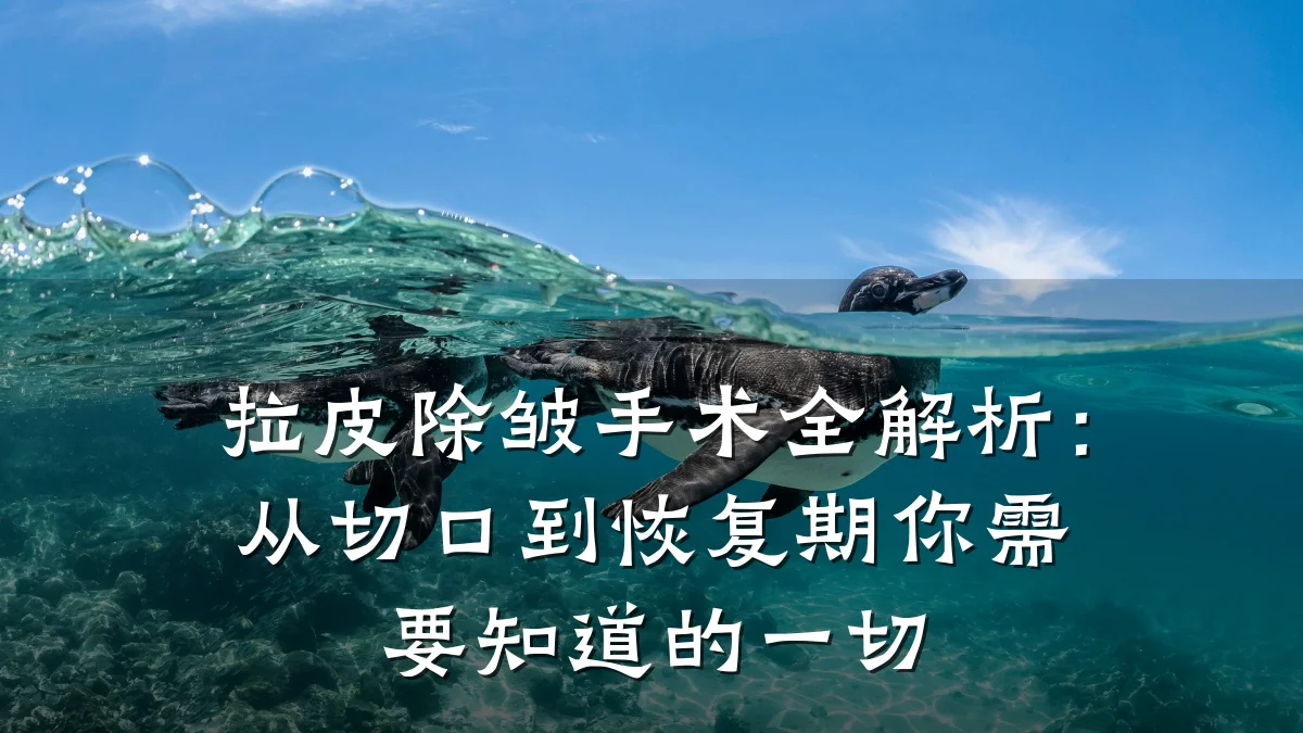 拉皮除皱手术全解析：从切口到恢复期你需要知道的一切