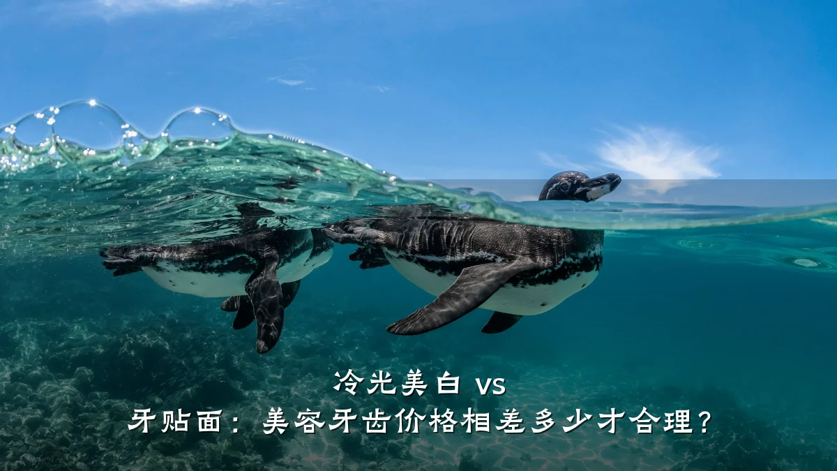 冷光美白 vs 牙贴面:美容牙齿价格相差多少才合理?