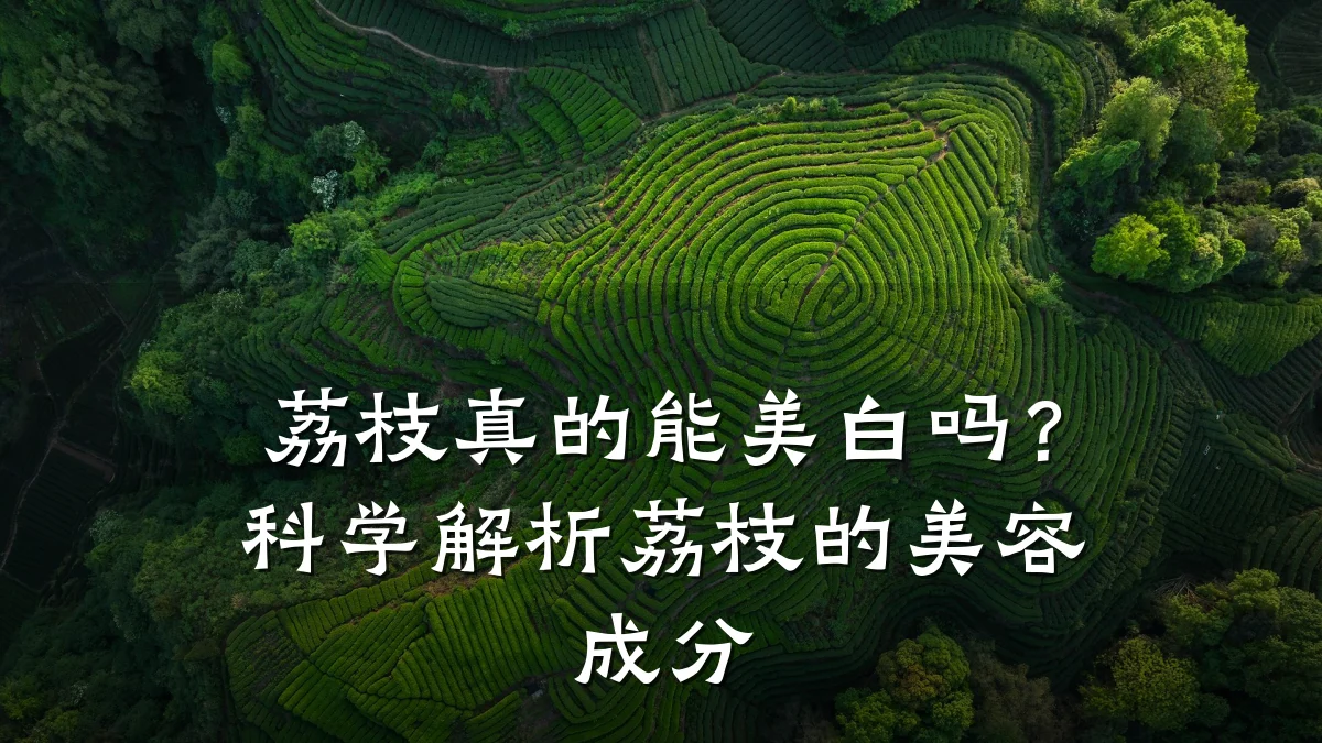 荔枝真的能美白吗？科学解析荔枝的美容成分