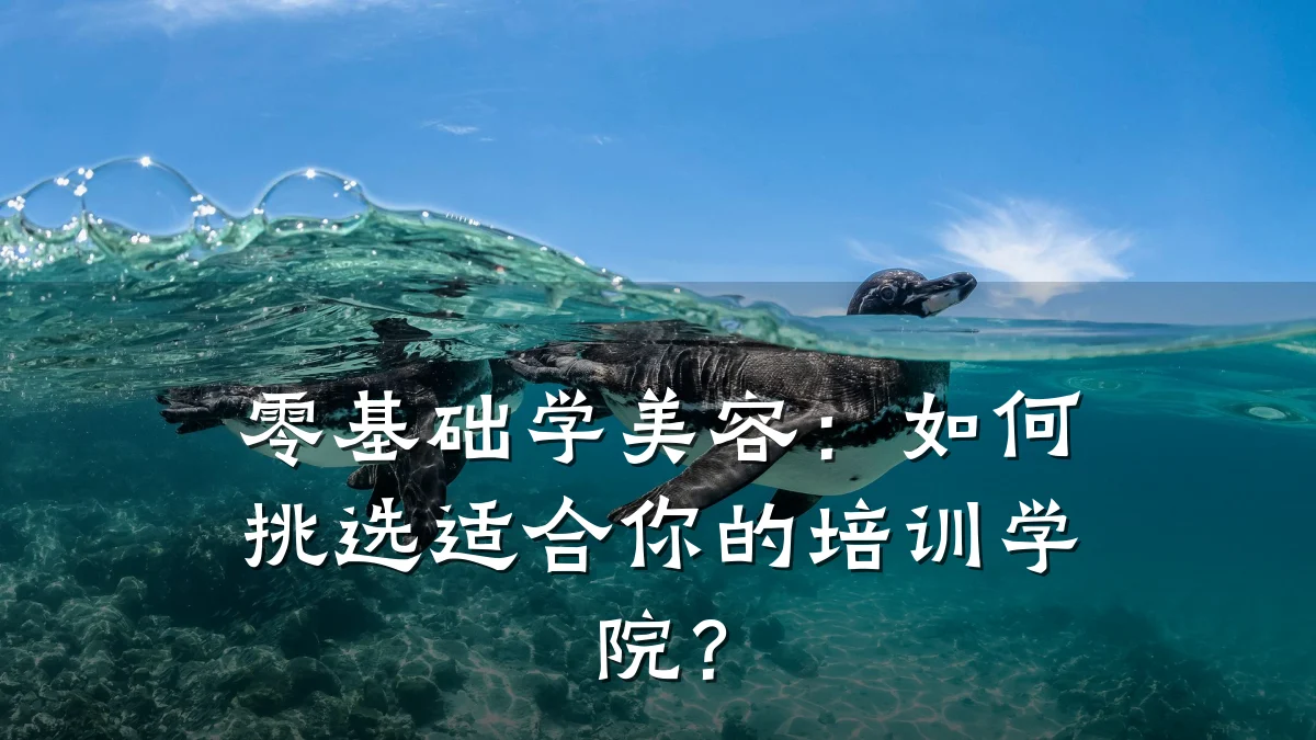 零基础学美容：如何挑选适合你的培训学院？