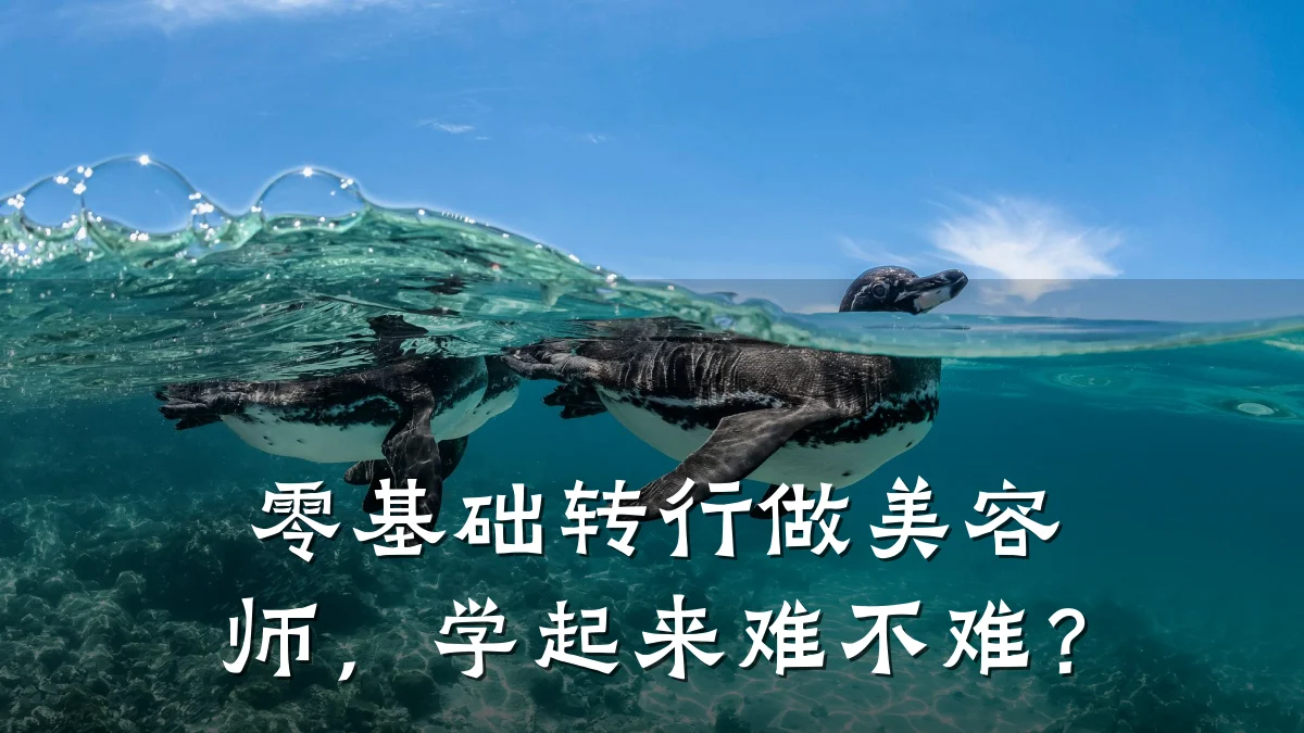 零基础转行做美容师，学起来难不难？