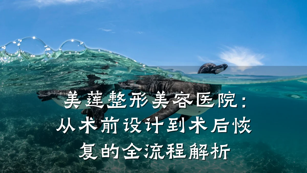 美莲整形美容医院：从术前设计到术后恢复的全流程解析