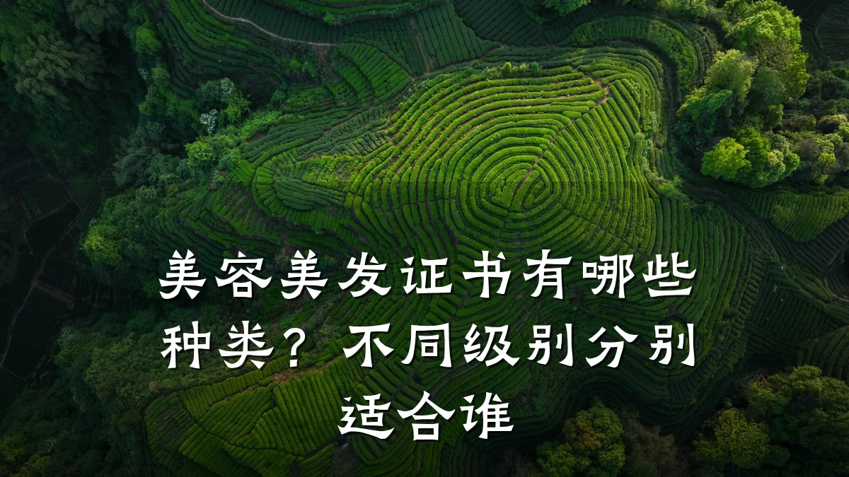 美容美发证书有哪些种类？不同级别分别适合谁