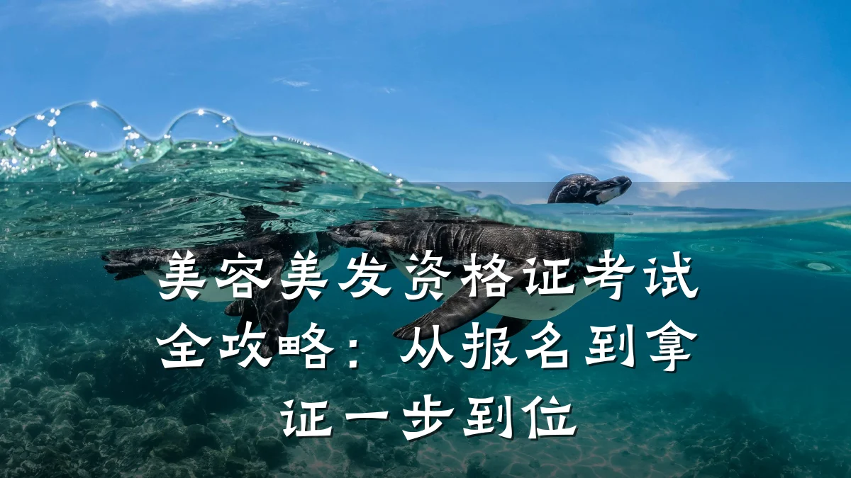 美容美发资格证考试全攻略：从报名到拿证一步到位