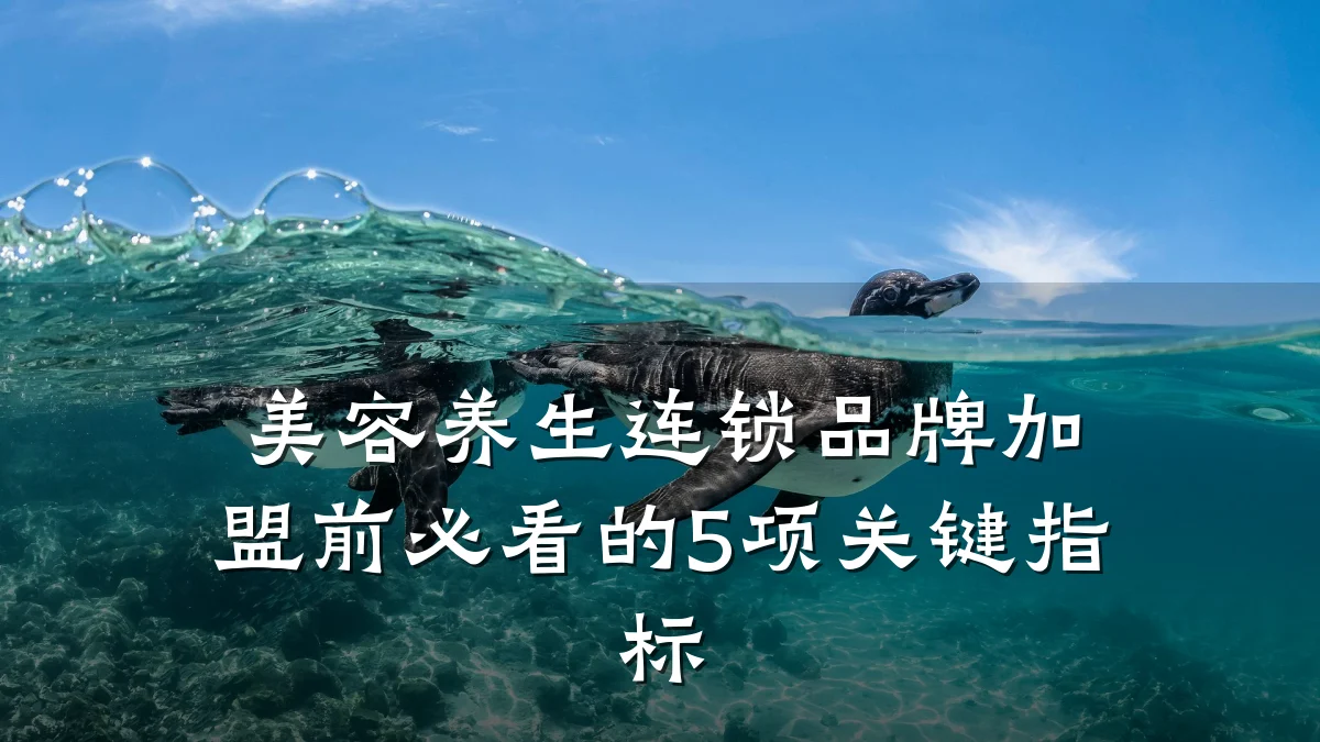 美容养生连锁品牌加盟前必看的5项关键指标
