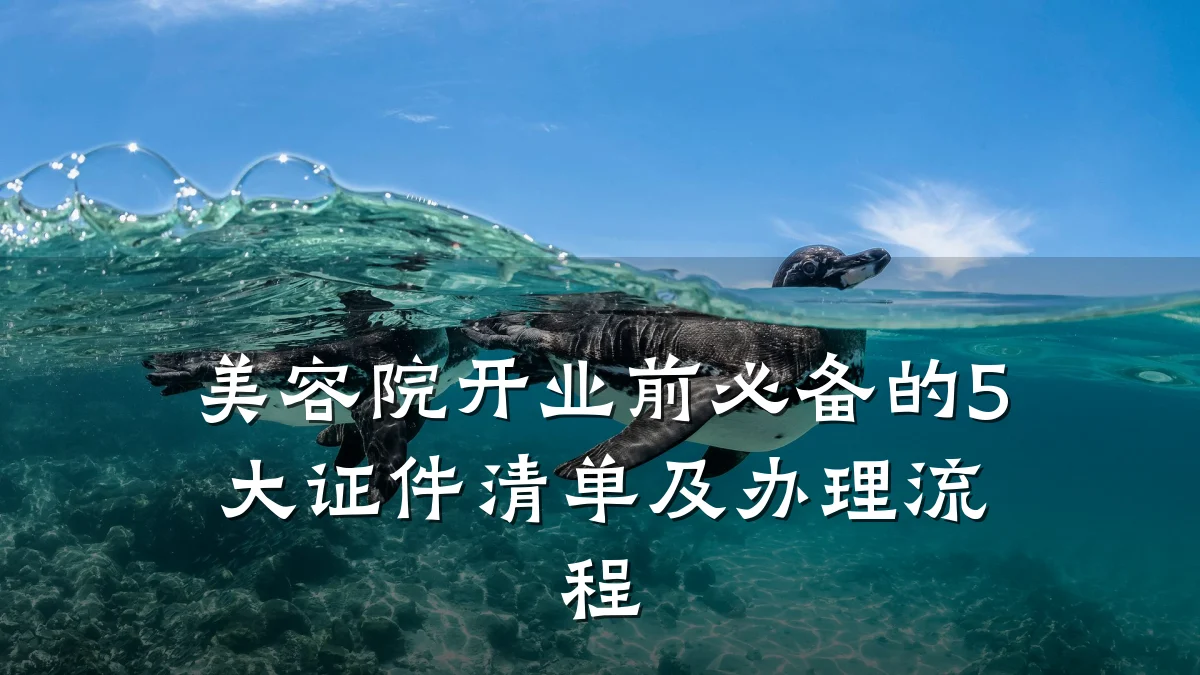 美容院开业前必备的5大证件清单及办理流程