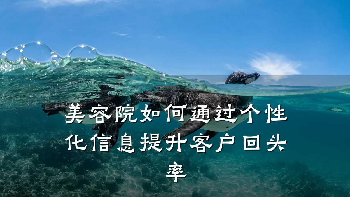 美容院如何通过个性化信息提升客户回头率
