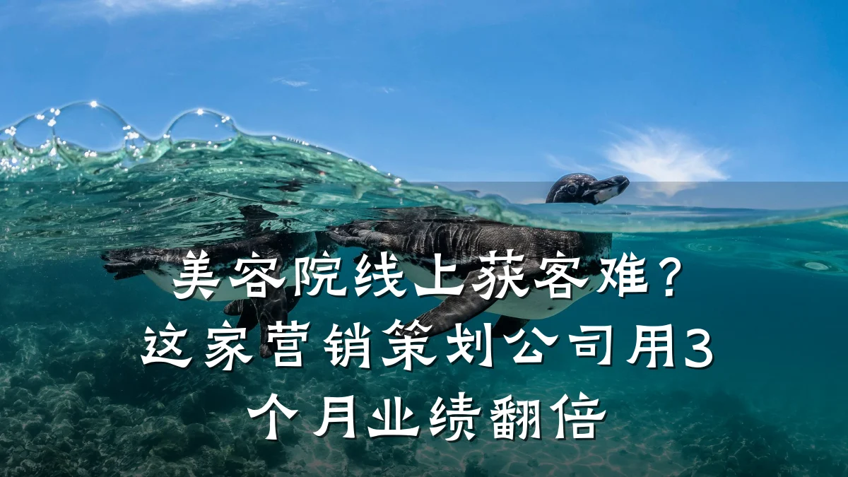 美容院线上获客难？这家营销策划公司用3个月业绩翻倍