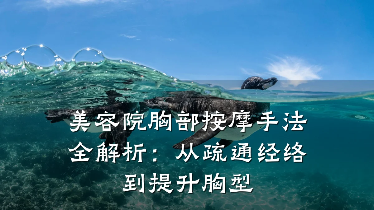 美容院胸部按摩手法全解析：从疏通经络到提升胸型