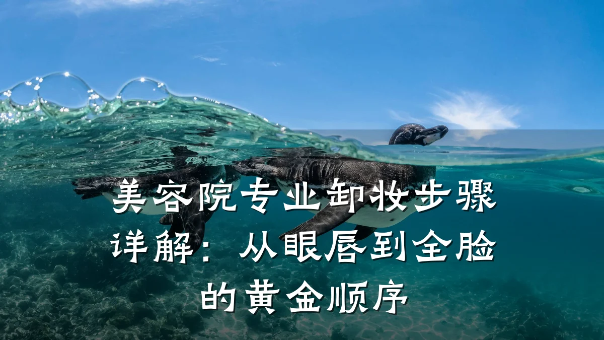 美容院专业卸妆步骤详解：从眼唇到全脸的黄金顺序