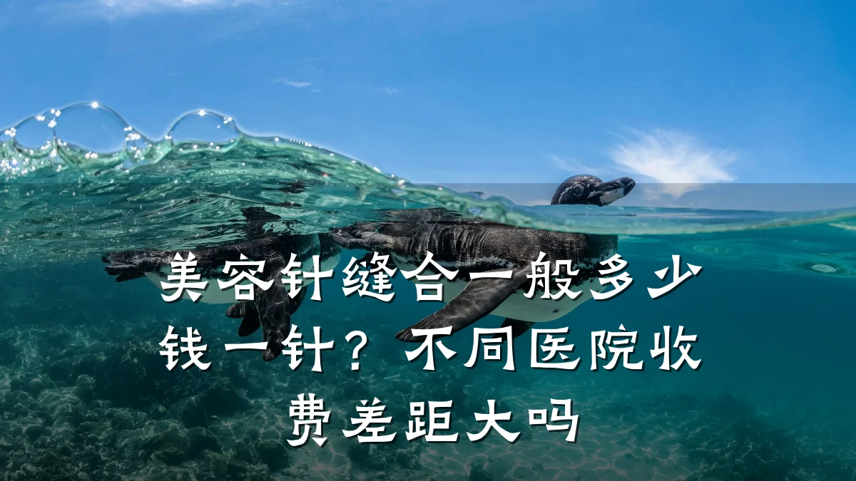 美容针缝合一般多少钱一针？不同医院收费差距大吗