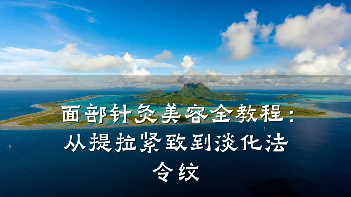 面部针灸美容全教程：从提拉紧致到淡化法令纹