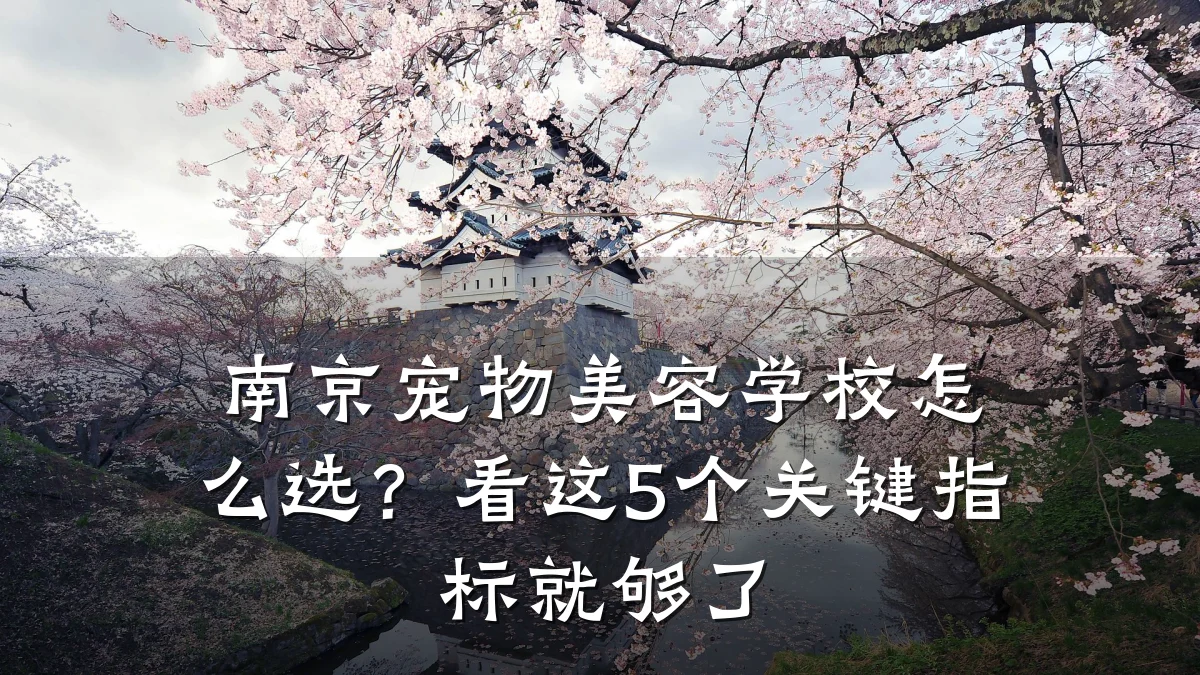 南京宠物美容学校怎么选？看这5个关键指标就够了