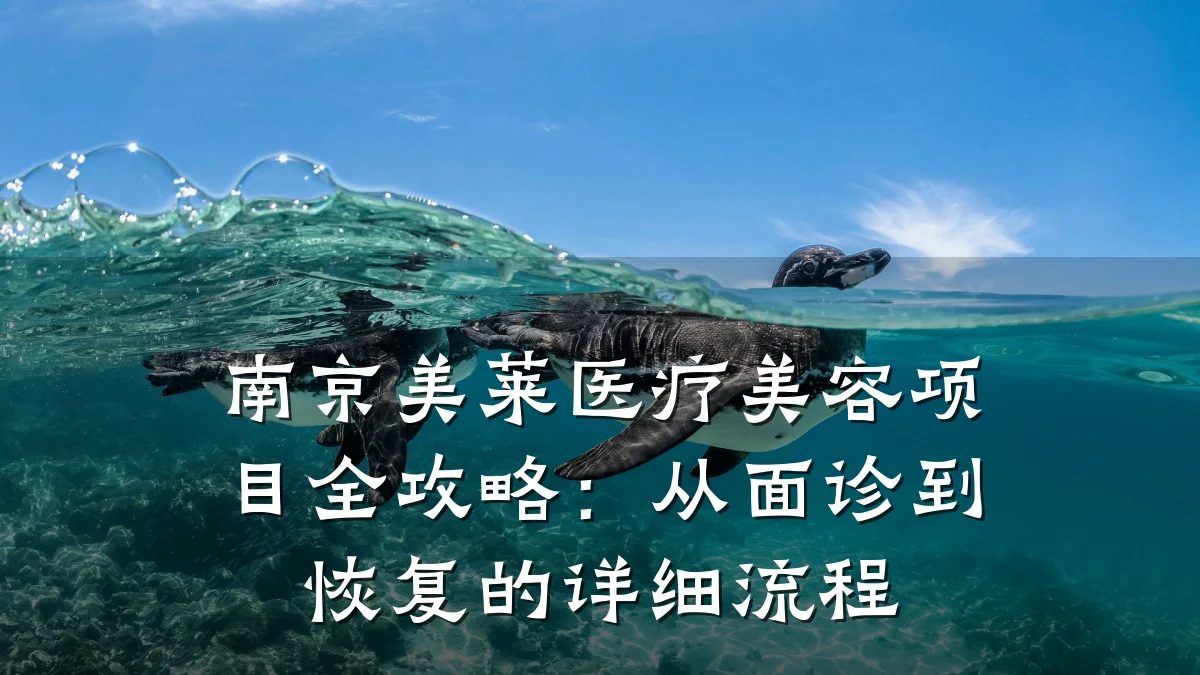 南京美莱医疗美容项目全攻略：从面诊到恢复的详细流程