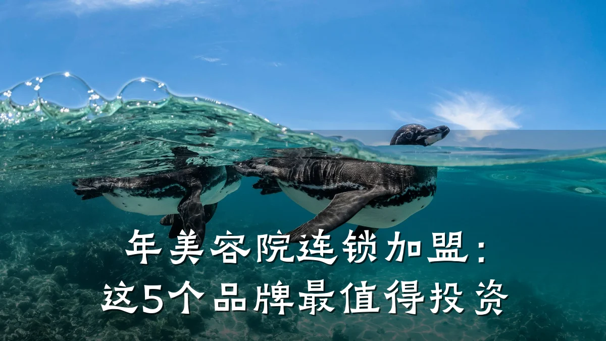 年美容院连锁加盟：这5个品牌最值得投资