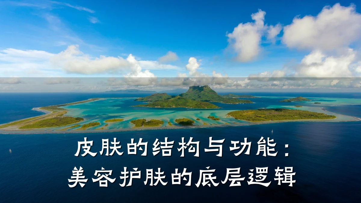 皮肤的结构与功能：美容护肤的底层逻辑