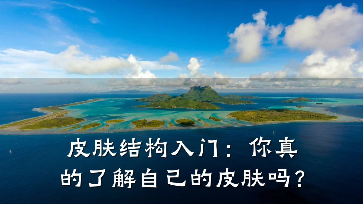 皮肤结构入门：你真的了解自己的皮肤吗？