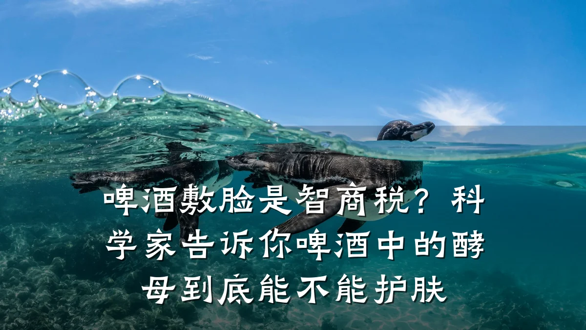 啤酒敷脸是智商税？科学家告诉你啤酒中的酵母到底能不能护肤